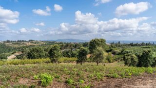 Land for sale in Óbidos, Portugal — €70,000