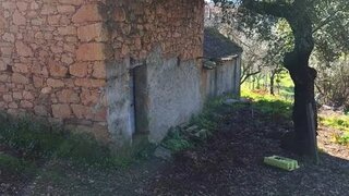 Land for sale in Pedrógão Grande, Portugal — €55,000