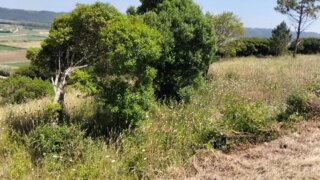 Land for sale in Nazaré, Portugal — €120,000