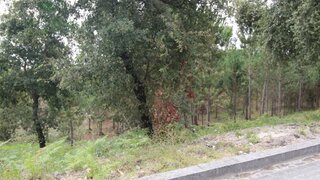 Terreno de 3243 m² em Leiria