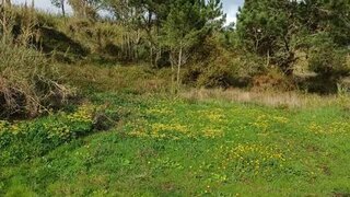 Land for sale in Caldas da Rainha, Portugal — €20,000