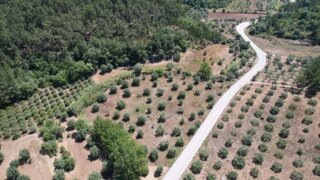 Land for sale in Leiria, Portugal — €25,000