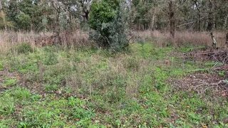 Terreno de 2700 m² em Leiria