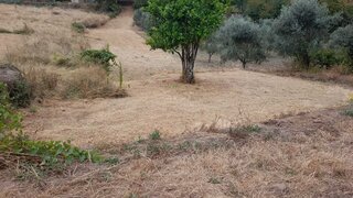 Terreno para venda em Figueiró dos Vinhos, Portugal — 3750 €