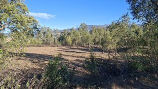 Land for sale in Fundão, Portugal — €15,000