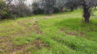 Land for sale in Fundão, Portugal