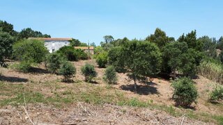 Land for sale in Sintra, Portugal — €3,200,000