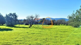 Terreno em Loulé