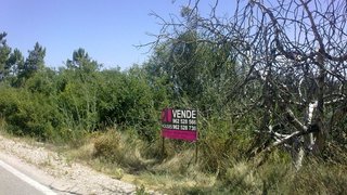 Land for sale in Tomar, Portugal — €25,000