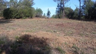 Land for sale in Tomar, Portugal — €45,000