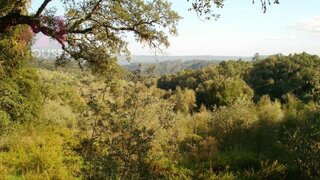 Land for sale in Tomar, Portugal — €80,000