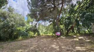 Land for sale in Torres Novas, Portugal — €140,000