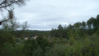 Land for sale in Tomar, Portugal — €55,000