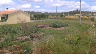 Land for sale in Tomar, Portugal — €28,000
