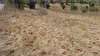 Land for sale in Tomar, Portugal — €155,000