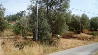 Land for sale in Tomar, Portugal — €15,000