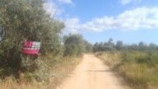 Land for sale in Tomar, Portugal — €75,000