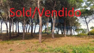 Land for sale in Óbidos, Portugal