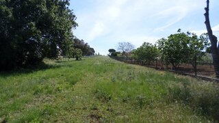 Land for sale in Caldas da Rainha, Portugal