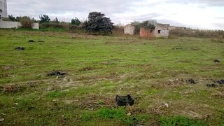 Land for sale in Caldas da Rainha, Portugal — €1,300,000