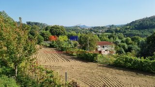 Terreno em Cabeceiras de Basto · 65 000 €