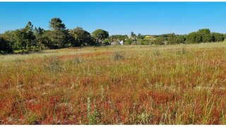 Land for sale in Vendas Novas, Portugal — €415,000