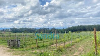 Land for sale in Monção, Portugal — €39,000
