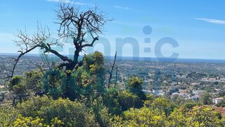 Terreno · 6000 m² · 180 000 €