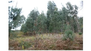 Land for sale in Guimarães, Portugal — €100,000