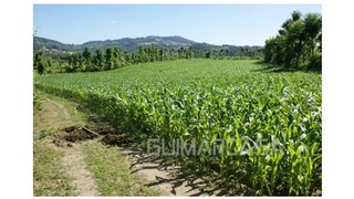 Land for sale in Guimarães, Portugal — €50,000