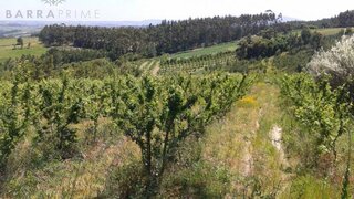 Land for sale in São Brás de Alportel, Portugal — €120,000