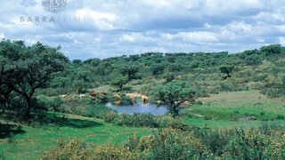 Land for sale in Ourique, Portugal — €3,900,000
