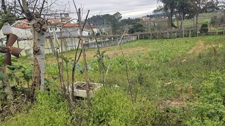 Terreno em Barcelos · 2160 m² · 220 000 €