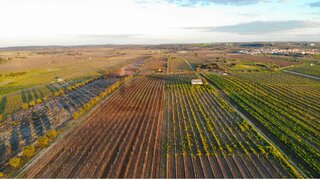 Land for sale in Reguengos de Monsaraz, Portugal — €450,000