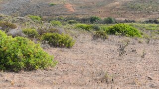 Land for sale in Vila do Bispo, Portugal — €40,000