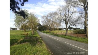 Land for sale in Ferreira do Alentejo, Portugal — €480,000