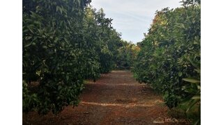 Land for sale in Silves, Portugal — €195,000