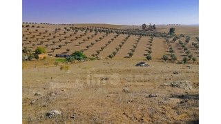 Terreno de 40 000 m² em Beja