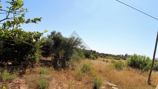 Terreno de 4690 m² em Lagoa