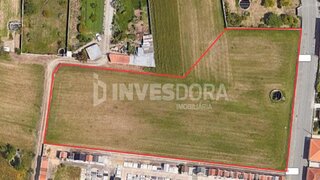 Land for sale in Vagos, Portugal — €150,000