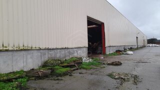 Terreno de 60 000 m² em Guarda