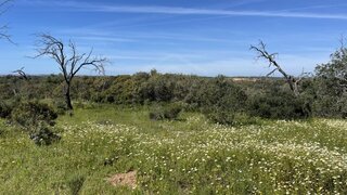 Land for sale in Albufeira, Portugal — €39,000