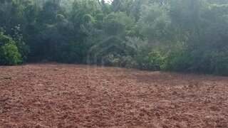 Land for sale in Loulé, Portugal — €25,000