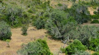 Land for sale in Loulé, Portugal — €95,000
