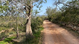 Land for sale in Loulé, Portugal — €33,000