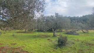 Land for sale in Loulé, Portugal — €39,000
