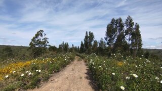 Land for sale in Loulé, Portugal — €150,000