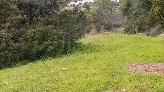 Land for sale in Loulé, Portugal — €19,900