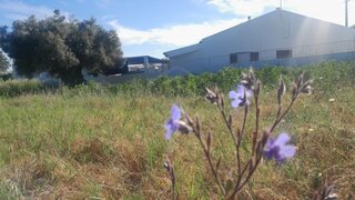 Land for sale in Loulé, Portugal — €99,000