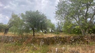 Land for sale in Loulé, Portugal — €20,000